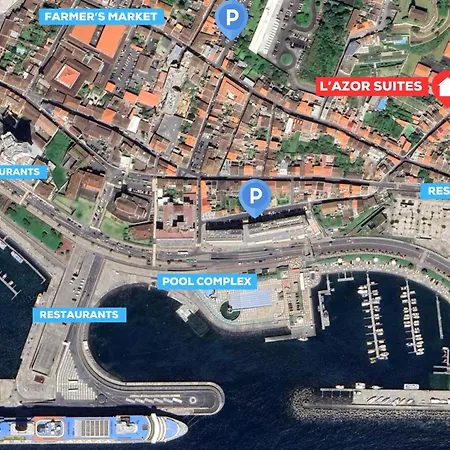 L'azor - Nature * ポンタ・デルガダ